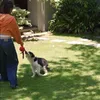 Halaman Rumah dengan Hamparan Rumput Luas