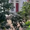 Potret Rumah Sus Rini Pengasuh Rayyanza di Kampung yang Sedang Dibangun