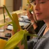 Potret Syahrini dan Reino Barack Bertemu Takeru Satoh