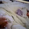 Potret Syahrini Rayakan Ultah Bareng Baby R