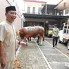  Keluarga Ayu Ting Ting di Idul Adha