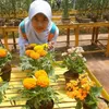 Rania Anak Ifan Seventeen Kuliah Kedokteran UB