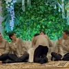 Vidi Aldiano di Pengajian Faishal Adik Sheila Dara