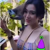 Wika Salim