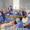 Zhao Lusi Bikin Jamur Bambu Laris Manis