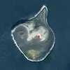Pulau Surtsey