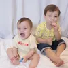 lucio dan koa anak stefan william celine evangelista