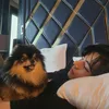 V BTS