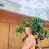 Minhyun NU\&#039;EST
