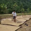 ©instagram.com/ayah_kejora