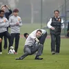 David Beckham Terpeleset