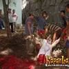 Qurban
