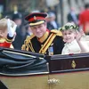 Royal Wedding
