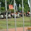 obor olimpiade