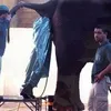 pekerjaan terberat