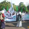 Demo Ariel
