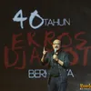 Erros Djarot