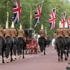 Royal Wedding