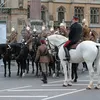 Royal Wedding