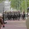 Royal Wedding