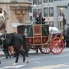 Royal Wedding