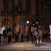 Royal Wedding