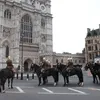 Royal Wedding