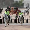Royal Wedding