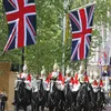 Royal Wedding