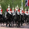Royal Wedding