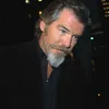 pierce brosnan