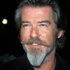 pierce brosnan