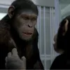 Rise Of The Planet Of The Apes