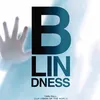 poster film 2008
