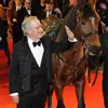 War Horse