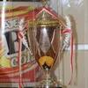 Agum Gumelar Cup