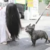 Sadako 3d