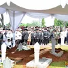 ainun habibie
