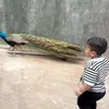 Tasya Farasya Ajak Anak Liburan ke Mini Zoo