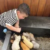 Tasya Farasya Ajak Anak Liburan ke Mini Zoo