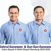 Artis di Pilkada 2024