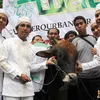 Wali Band