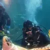 Ruben Onsu Kibarkan Bendera di Kolam Hiu