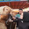 Seleb Bareng Hewan Kurban