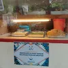 Makan Gratis