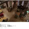 tvN Vs KBS
