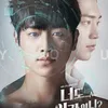 Drama Korea Bertema Tentang Bodyguard