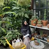 Cut Intan