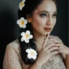 Isabella Fawzi