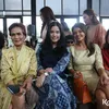 Road to IFW 2020